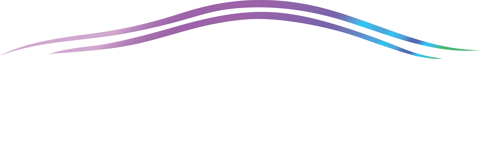 Presidian Logo